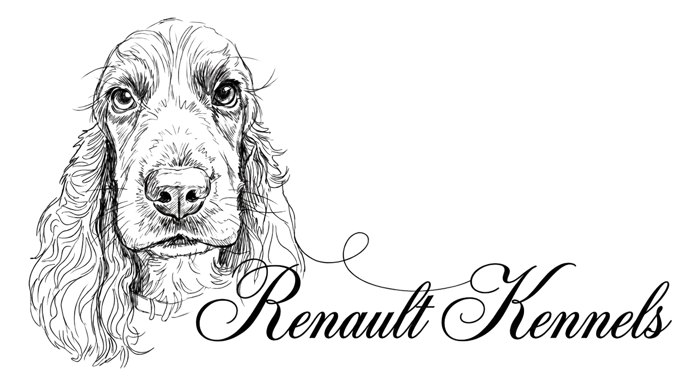 Renault Kennels